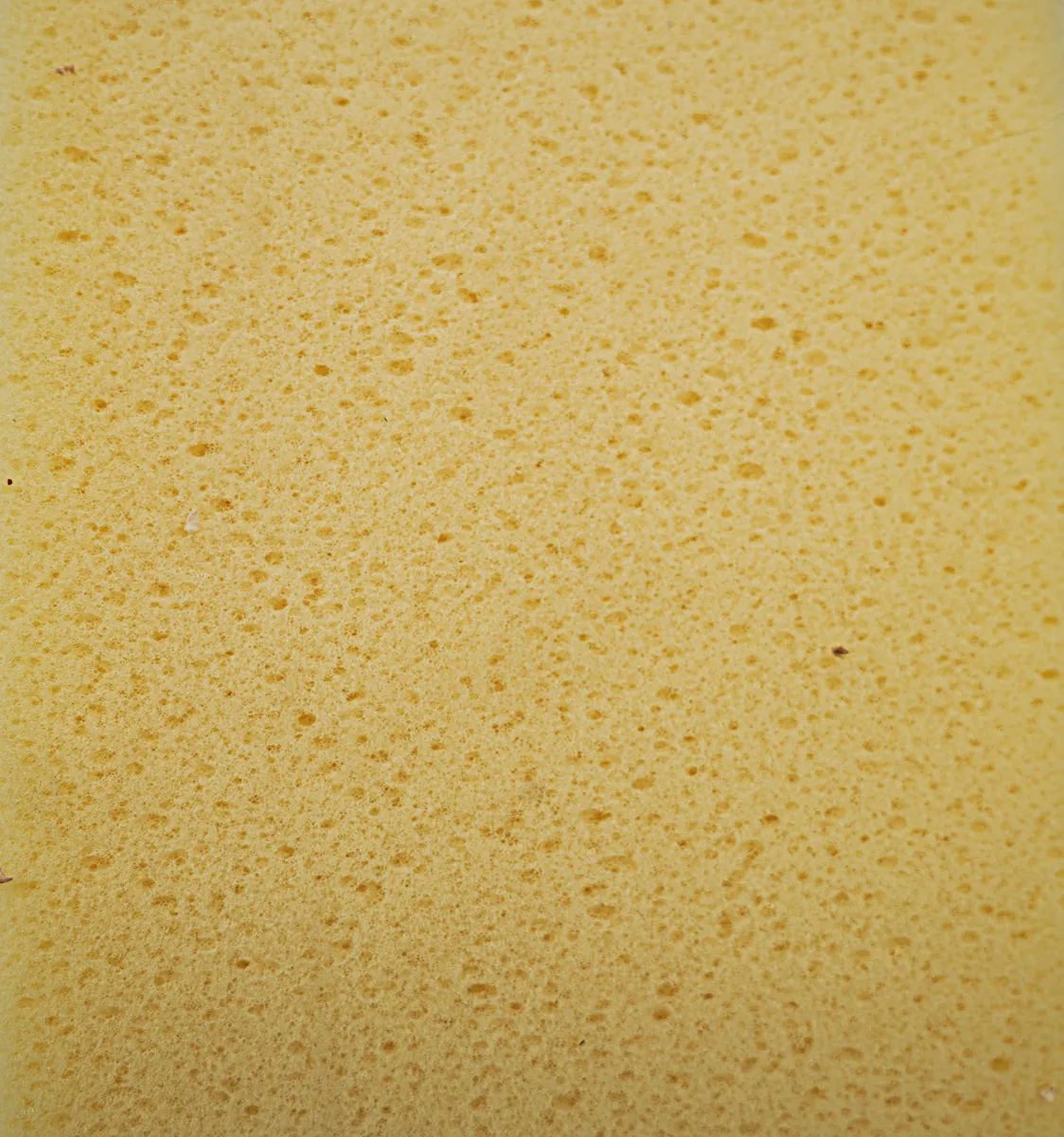 Glättbrett 34x12 cm Hydroschwamm Holzgriff 1